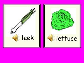 lettuce
leek
 
