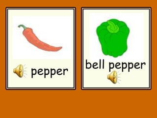 pepper
bell pepper
 
