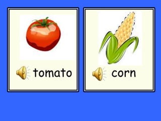 tomato corn
 