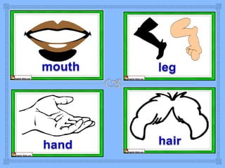 Flashcards | PPTX