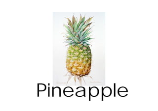 Pineapple
 