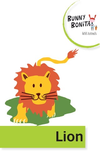 Wild Animals
Lion
 