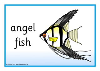 © Copyright 2011, www.sparklebox.co.uk
angel
fish
 