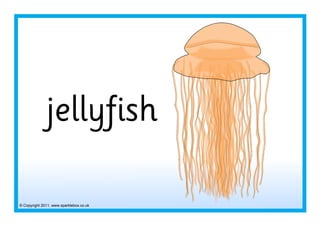 © Copyright 2011, www.sparklebox.co.uk
jellyfish
 