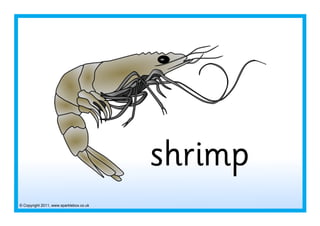 © Copyright 2011, www.sparklebox.co.uk
shrimp
 