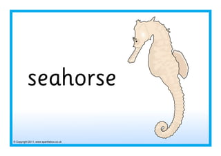 © Copyright 2011, www.sparklebox.co.uk
seahorse
 