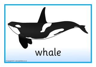 © Copyright 2011, www.sparklebox.co.uk
whale
 