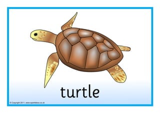 © Copyright 2011, www.sparklebox.co.uk
turtle
 