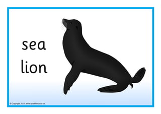 © Copyright 2011, www.sparklebox.co.uk
sea
lion
 