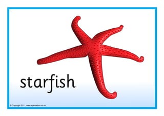 © Copyright 2011, www.sparklebox.co.uk
starfish
 