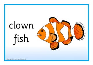 © Copyright 2011, www.sparklebox.co.uk
clown
fish
 