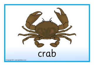 © Copyright 2011, www.sparklebox.co.uk
crab
 