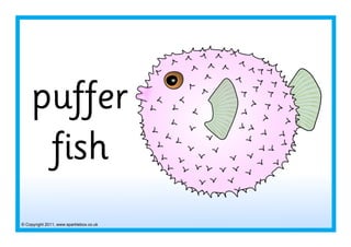 © Copyright 2011, www.sparklebox.co.uk
puffer
fish
 
