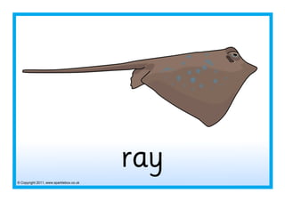 © Copyright 2011, www.sparklebox.co.uk
ray
 