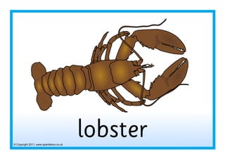 © Copyright 2011, www.sparklebox.co.uk
lobster
 