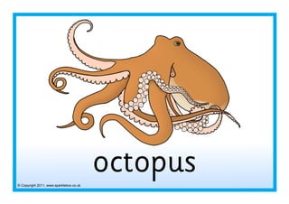© Copyright 2011, www.sparklebox.co.uk
octopus
 