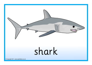 © Copyright 2011, www.sparklebox.co.uk
shark
 