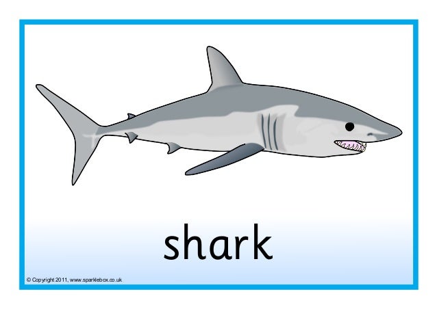 animales en inglés