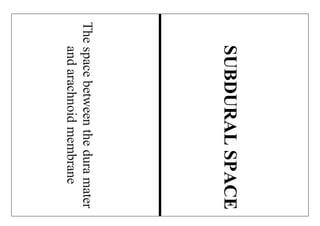 Thespacebetweentheduramater
andarachnoidmembrane
SUBDURALSPACE
 