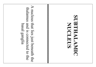 Anucleusthatliesjustbeneaththe
thalamusandisconnectedtothe
basalganglia
SUBTHALAMIC
NUCLEUS
 