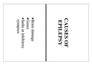 CAUSESOF
EPILEPSY
Braindamage
Genes
faultsatinhibitory
synapses
 