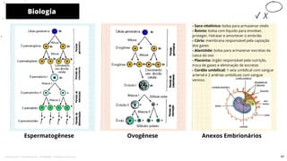 - Saco vitelínico: bolsa para armazenar vitelo
- Âmnio: bolsa com líquido para envolver,
proteger, hidratar e amortecer o embrião
- Cório: membrana responsável pela captação
dos gases
- Alantóide: bolsa para armazenar excretas da
casca do ovo
- Placenta: órgão responsável pela nutrição,
troca de gases e eliminação de excretas
- Cordão umbilical: 1 veia umbilical com sangue
arterial e 2 artérias umbilicais com sangue
venoso.
Ovogênese
Biologia
Espermatogênese
10
Anexos Embrionários
63
Licenciado para - Pavel Kalashinikov - 23746808863 - Protegido por Eduzz.com
 