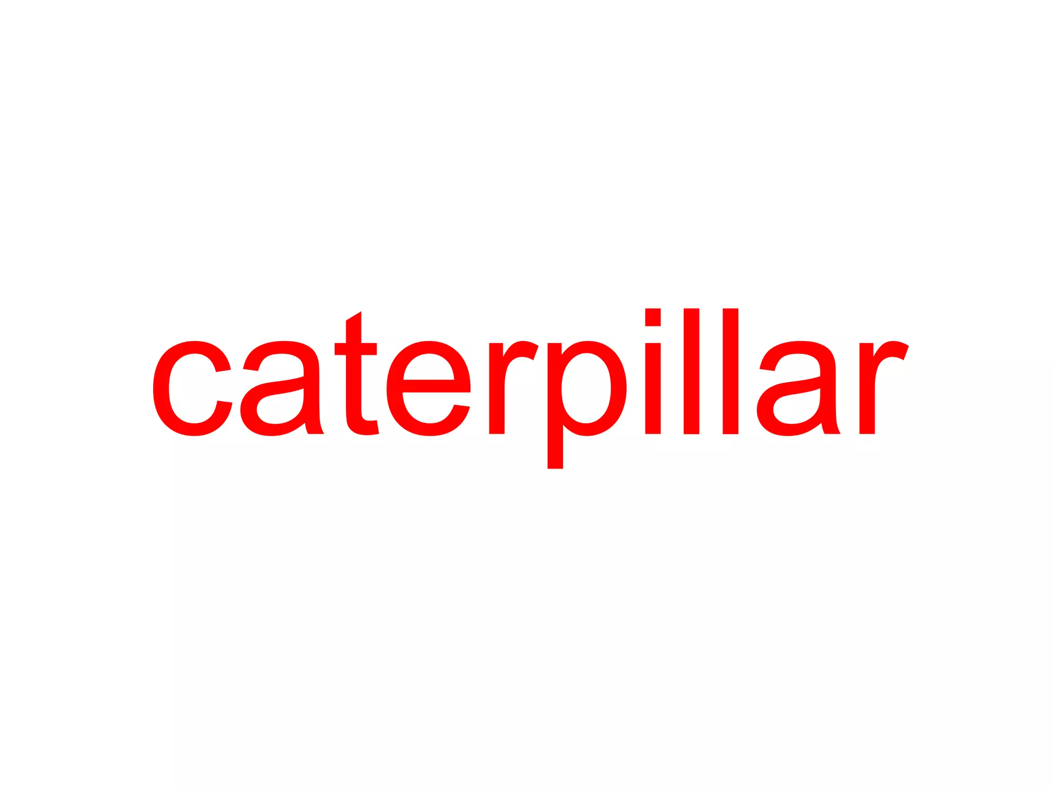 caterpillar