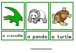a crocodile   a panda a turtle

               © www.lessonsense.com
 
