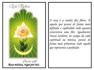 Rosa mística, rogai por nós.
A rosa é a rainha das flores. É
aquela que possui de forma mais
definida e esplêndida tudo quanto
caracteriza uma flor. Igualmente
Nossa Senhora, no campo da vida
espiritual ou mística, possui de
forma mais primorosa tudo aquilo
que representa a perfeição.
 
