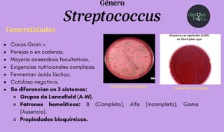 Cocos Gram +.
Parejas o en cadenas.
Mayoría anaerobios facultativos.
Exigencias nutricionales complejas.
Fermentan ácido láctico.
Catalasa negativos.
Se diferencian en 3 sistemas:
Grupos de Lancefield (A-W).
Patrones hemolíticos: B (Completa), Alfa (Incompleta), Gama
(Ausencia).
Propiedades bioquímicas.
Streptococcus
Género
Generalidades
Hemólisis Completa
Hemólisis incompleta
 