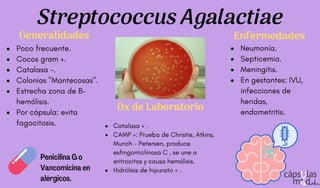 Poco frecuente.
Cocos gram +.
Catalasa -.
Colonias "Mantecosas".
Estrecha zona de B-
hemólisis.
Por cápsula: evita
fagocitosis.
Streptococcus Agalactiae
Catalasa + .
CAMP +: Prueba de Christie, Atkins,
Munch - Petersen, produce
esfingomiclinasa C , se une a
eritrocitos y causa hemólisis.
Hidrólisis de hipurato + .
Neumonía.
Septicemia.
Meningitis.
En gestantes: IVU,
infecciones de
heridas,
endometritis.
Generalidades
Dx de Laboratorio
Enfermedades
Penicilina G o
Vancomicina en
alérgicos.
 