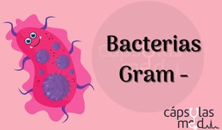 Bacterias
Bacterias
Gram -
Gram -
 