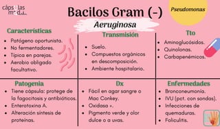 Bacilos Gram (-)
Aeruginosa
Características
Características
Patogenia
Patogenia
Transmisión
Transmisión
Dx
Dx
Tto
Tto
Enfermedades
Enfermedades
Patógeno oportunista.
No fermentadores.
Típica en parejas.
Aerobio obligado
facultativo.
Suelo.
Compuestos orgánicos
en descomposición.
Ambiente hospitalario.
Tiene cápsula: protege de
la fagocitosis y antibióticos.
Enterotoxina A.
Alteración síntesis de
proteínas.
Bronconeumonía.
IVU (pct. con sondas).
Infecciones de
quemaduras.
Foliculitis.
Fácil en agar sangre o
Mac Conkey.
Oxidasa +.
Pigmento verde y olor
dulce o a uvas.
Pseudomonas
Aminoglucósidos.
Quinolonas.
Carbapenémicos.
 