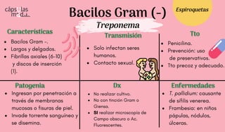 Bacilos Gram (-)
Treponema
Características
Características
Patogenia
Patogenia
Transmisión
Transmisión
Dx
Dx
Tto
Tto
Enfermedades
Enfermedades
Bacilos Gram -.
Largos y delgados.
Fibrillas axiales (6-10)
y discos de inserción
(1).
Solo infectan seres
humanos.
Contacto sexual.
Ingresan por penetración a
través de membranas
mucosas o fisuras de piel.
Invade torrente sanguíneo y
se disemina.
T. pallidium: causante
de sífilis venerea.
Frambesia: en niños
pápulas, nódulos,
úlceras.
No realizar cultivo.
No con tinción Gram o
Giensa.
SI realizar microscopía de
Campo obscuro o Ac.
Fluorescentes.
Penicilina.
Prevención: uso
de preservativos.
Tto precoz y adecuado.
Espiroquetas
 
