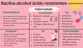 Bacilos alcohol ácido resistentes
Tuberculosis
Características
Características
Patogenia
Patogenia
Transmisión
Transmisión
Dx
Dx
Tto
Tto
Enfermedades
Enfermedades
Reservorio natural:
humano.
Aerosol en gotas.
F. Riesgo: infección por
VIH.
Clínica.
Rx de Tórax.
Detección de
micobacterias en cultivo.
Tinción de Ziehl Neelsen.
Más importante M. Tuberculosis.
Resisten a la descoloración con
soluciones ácidas.
Aerobios, inmóviles, intracelulares,
no esporulados.
Ingresa en vías respiratorias.
Alcanzan alvéolos.
Son digeridos por macrófagos.
Impide la fusión del fagosoma =
mayor replicación.
Granulomas.
Enfermedad pulmonar.
Infecciones sistémicas:
SNC, genitourinario,
ganglios, hueso,
oportunistas VIH.
Isoniazida.
Etambutol.
Pirazinamida.
Rifampicina.
Estreptomicina.
Mycobacterium
BAAR
BAAR
 