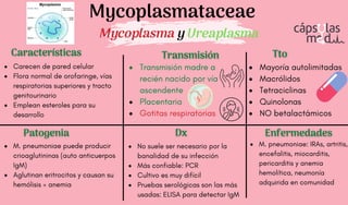 Características
Características
Patogenia
Patogenia
Transmisión
Transmisión
Dx
Dx
Tto
Tto
Enfermedades
Enfermedades
Carecen de pared celular
Flora normal de orofaringe, vías
respiratorias superiores y tracto
genitourinario
Emplean esteroles para su
desarrollo
Transmisión madre a
recién nacido por vía
ascendente
Placentaria
Gotitas respiratorias
M. pneumoniae puede producir
crioaglutininas (auto anticuerpos
IgM)
Aglutinan eritrocitos y causan su
hemólisis = anemia
No suele ser necesario por la
banalidad de su infección
Más confiable: PCR
Cultivo es muy difícil
Pruebas serológicas son las más
usadas: ELISA para detectar IgM
Mayoría autolimitadas
Macrólidos
Tetraciclinas
Quinolonas
NO betalactámicos
Mycoplasmataceae
Mycoplasma y Ureaplasma
M. pneumoniae: IRAs, artritis,
encefalitis, miocarditis,
pericarditis y anemia
hemolítica, neumonía
adquirida en comunidad
 