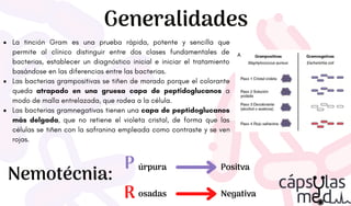 La tinción Gram es una prueba rápida, potente y sencilla que
permite al clínico distinguir entre dos clases fundamentales de
bacterias, establecer un diagnóstico inicial e iniciar el tratamiento
basándose en las diferencias entre las bacterias.
Las bacterias grampositivas se tiñen de morado porque el colorante
queda atrapado en una gruesa capa de peptidoglucanos a
modo de malla entrelazada, que rodea a la célula.
Las bacterias gramnegativas tienen una capa de peptidoglucanos
más delgada, que no retiene el violeta cristal, de forma que las
células se tiñen con la safranina empleada como contraste y se ven
rojas.
Generalidades
Nemotécnia:
P
R
úrpura
osadas
Positva
Negativa
 