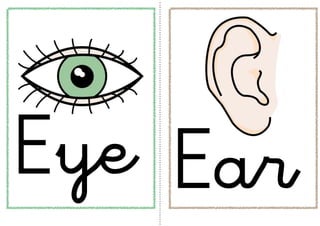 Eye Ear
 