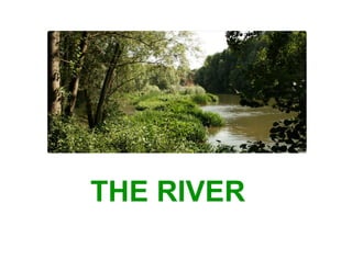 THE RIVER
 