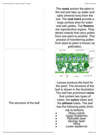 02/05/15 10:28 amFlashcards Table on IGCSE Biology All Topics
Page 8 of 34http://www.proprofs.com/ﬂashcards/cardshowall.php?title=igcse-biology-all-topics
The roots anchor the plant in
the soil and take up water and
salts (mineral ions) from the
soil. The root hairs provide a
large surface area for water
and salt uptake. The flowers
are reproductive organs. They
attract insects that carry pollen
from one plant to another. This
process of transferring pollen
from plant to plant is known as
pollination.
The structure of the leaf
Leaves produce the food for
the plant. The structure of the
leaf is shown in the illustration.
The leaf has prominent veins
that contain two types of
tubes, the xylem tubes and
the phloem tubes. The leaf
has the following parts (from
top to bottom):
Waxy cuticle
Upper Epidermis
Pallisade layer
Spongy layer
Veins
Lower epidermis
 
