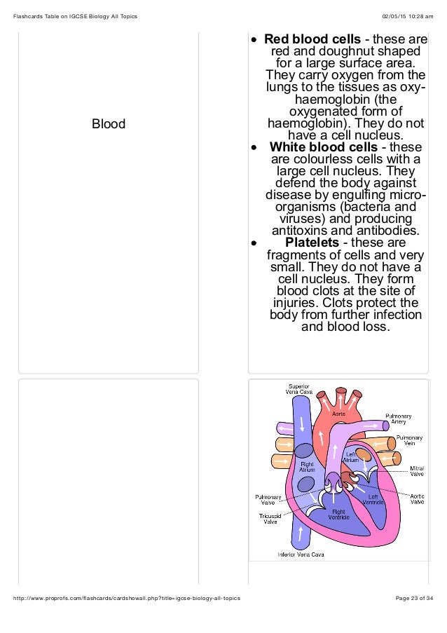 Flash Cards For Igcse Biology vrogue.co