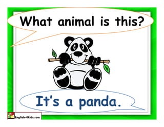What animal is this?




  It’s a panda.
 