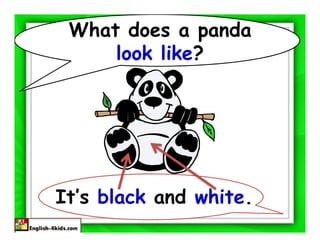 What does a panda
     look like?




It’s black and white.
 