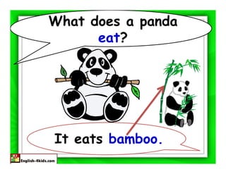 What does a panda
      eat?




It eats bamboo.
 