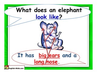 What does an elephant
     look like?




It has big ears and a
      long nose.
 