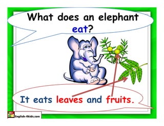 What does an elephant
         eat?




It eats leaves and fruits.
 