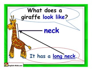 What does a
giraffe look like?




   It has a long neck.
 