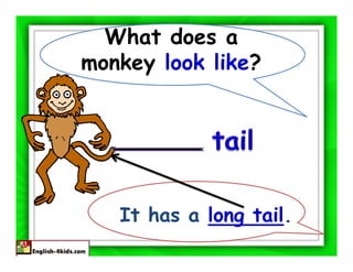 What does a
monkey look like?




   It has a long tail.
 