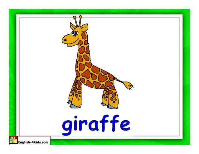 жираф для презентации. жираф на английском языке. жираф карточки для детей. карточки по английскому жираф.