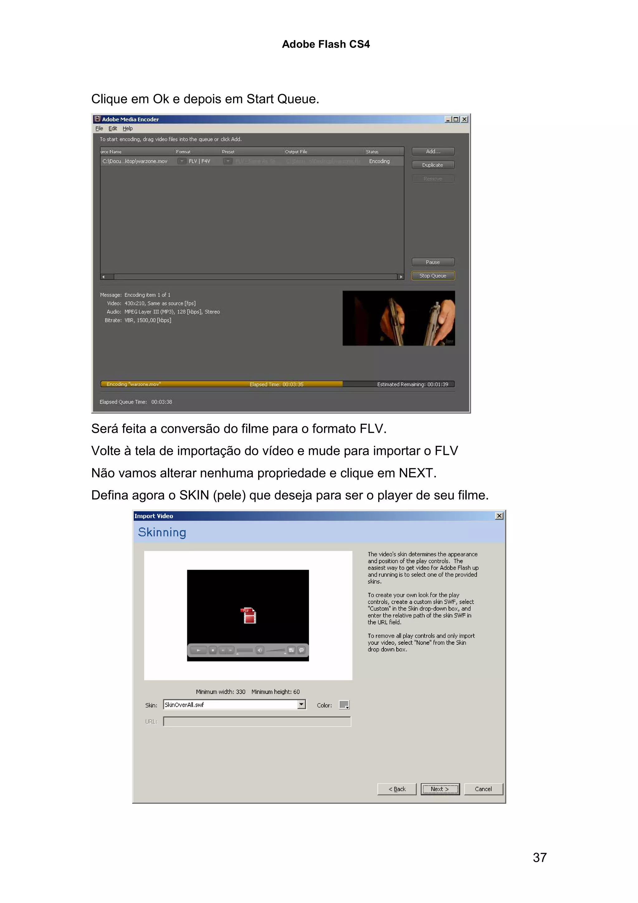 Adobe Flash CS4




Clique em Ok e depois em Start Queue.




Será feita a conversão do filme para o formato FLV.
Volte à tela de importação do vídeo e mude para importar o FLV
Não vamos alterar nenhuma propriedade e clique em NEXT.
Defina agora o SKIN (pele) que deseja para ser o player de seu filme.




                                                                        37
 